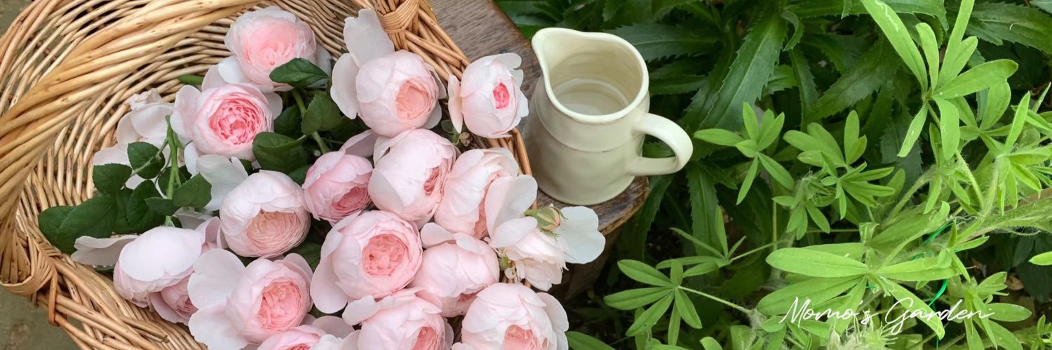 小北sky（精选） banner