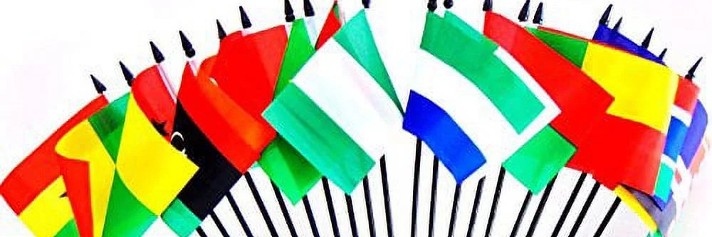 WE ARE AFRICANS's banner