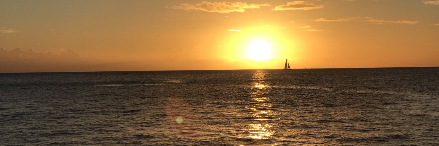 Coach Tim Hall banner