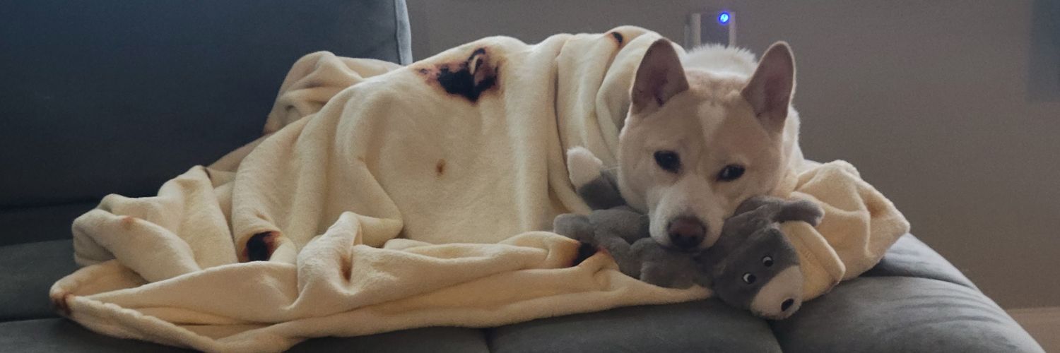 thedogecode's profile banner image