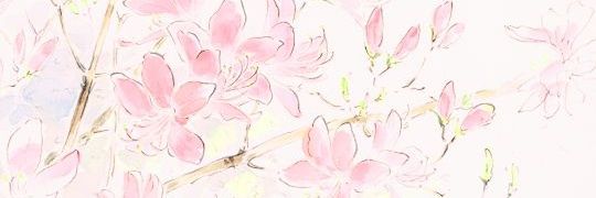 _elisedoll's profile banner image