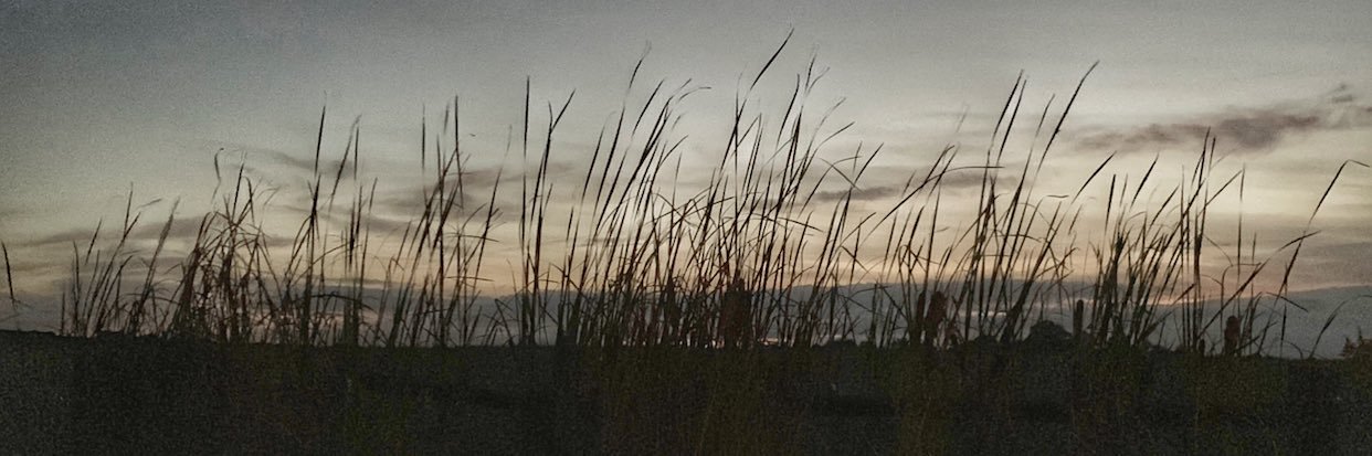 CassidyLents's profile banner image