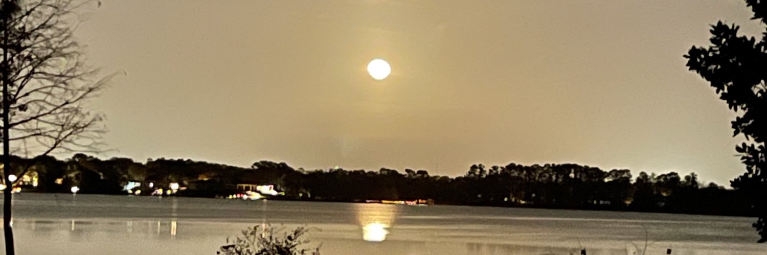 _jillsangster's profile banner image