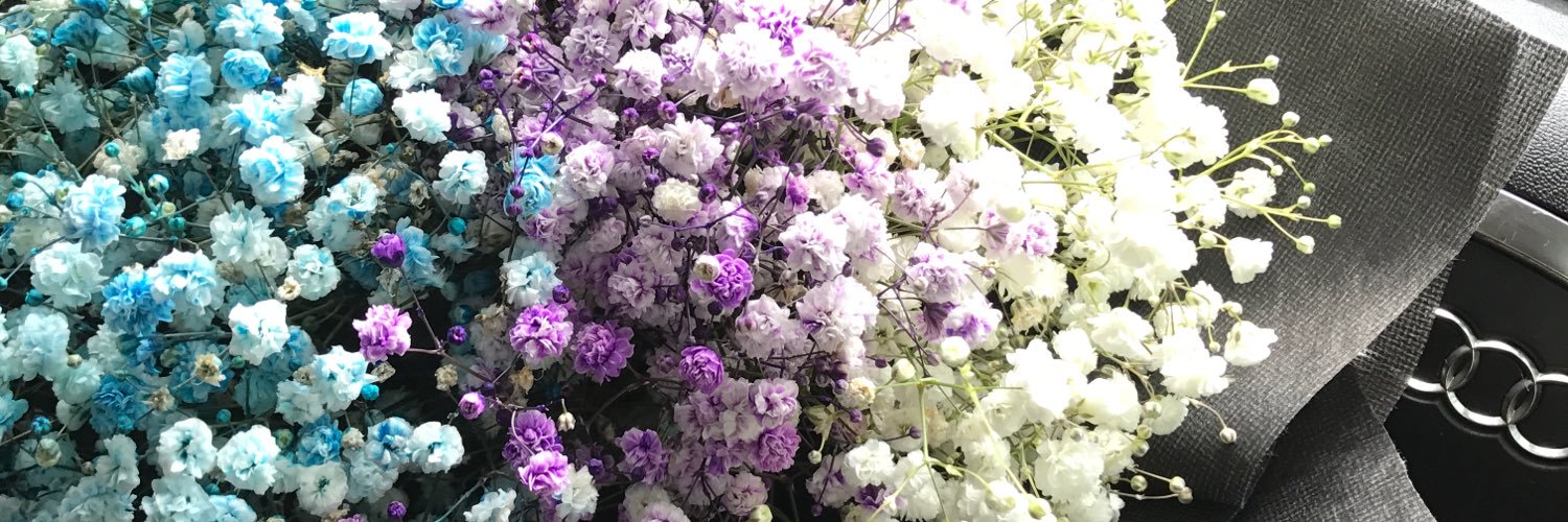 tngkarleen's profile banner image