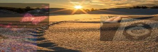 QUIEEIN Profile Banner