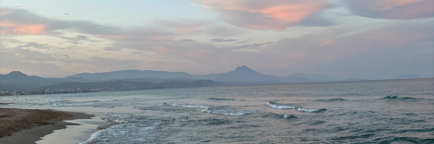 Carmen María Sánchez banner