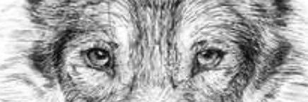 notjust4you's profile banner image