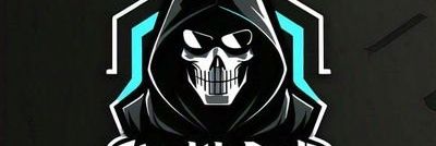 Stealth Dude banner