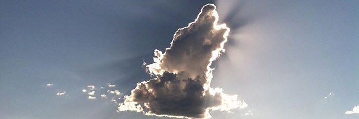 ObserPedregal's profile banner image