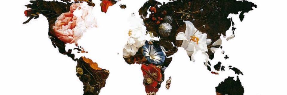 LuceroAdali's profile banner image