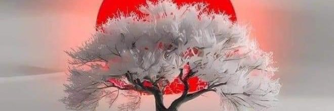 midakor's profile banner image