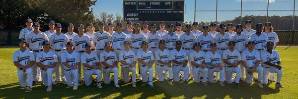 BaseballLCC Profile Banner
