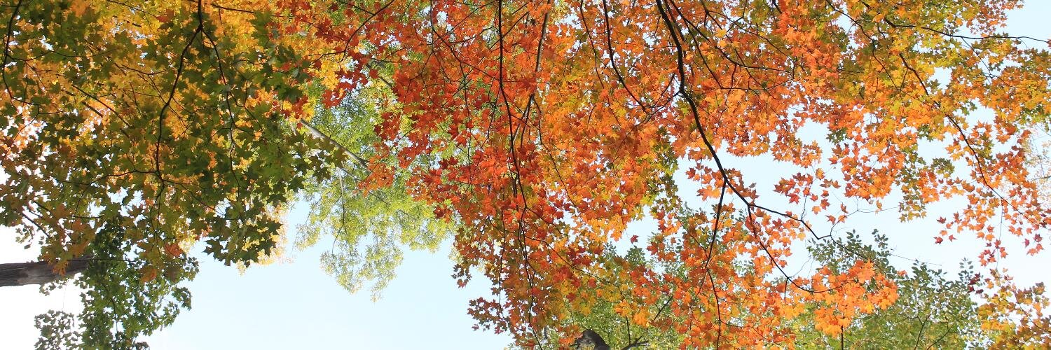 Kate_Hasbrouck's profile banner image