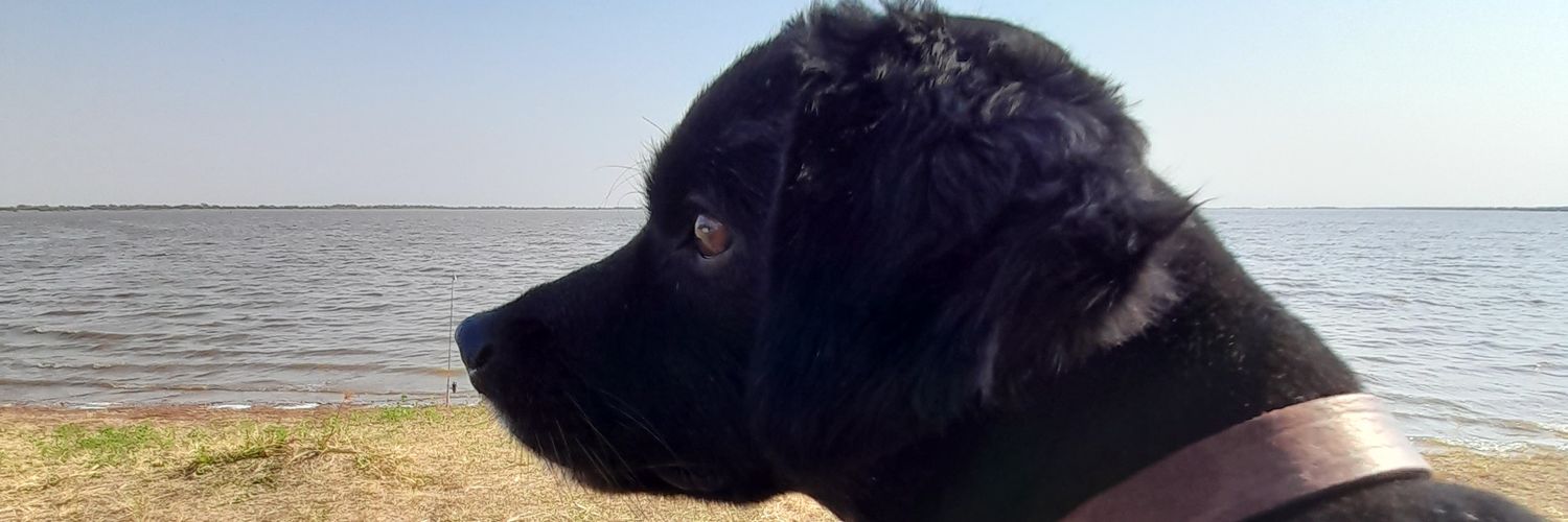 RossiAgus's profile banner image