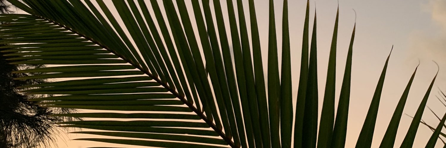 AichaAbbas's profile banner image
