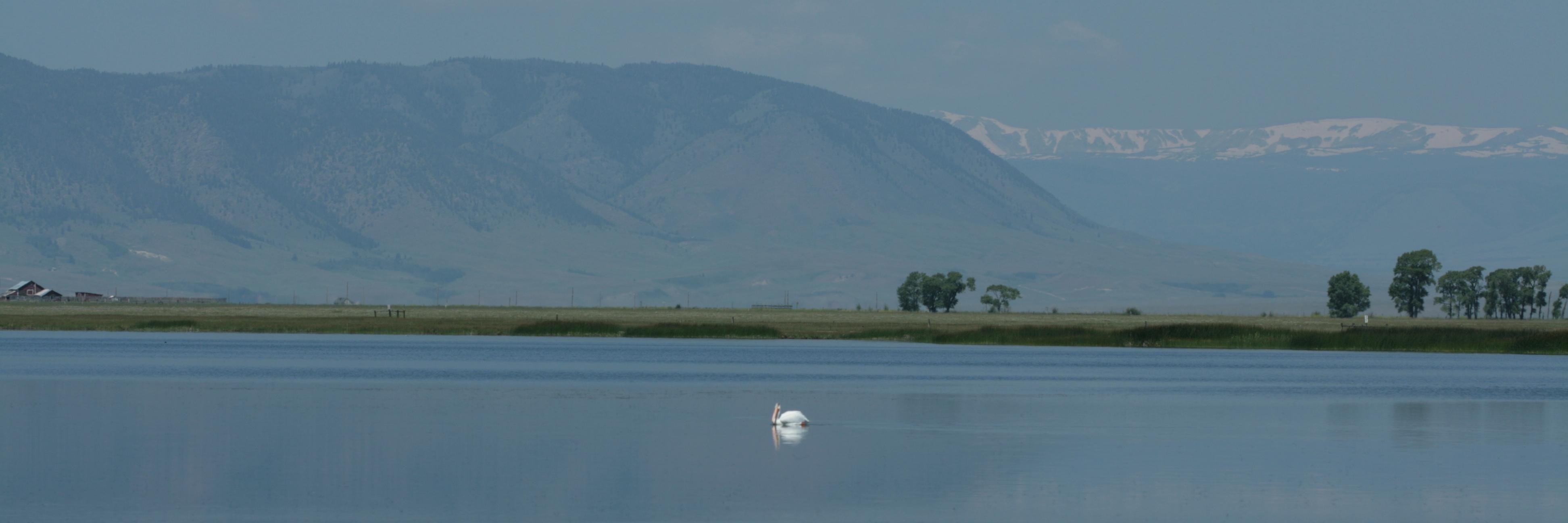 Dr Melanie Murphy banner