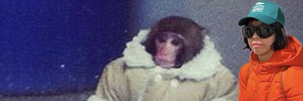 linhlub Profile Banner