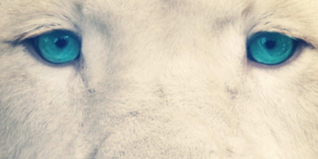 maxmanh's profile banner image