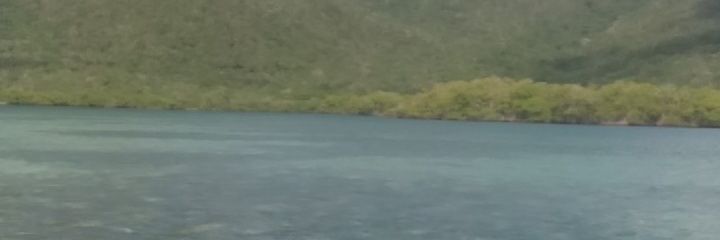 marq1560's profile banner image