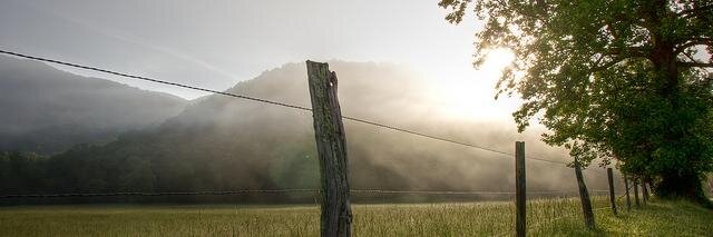canvasnstuff's profile banner image