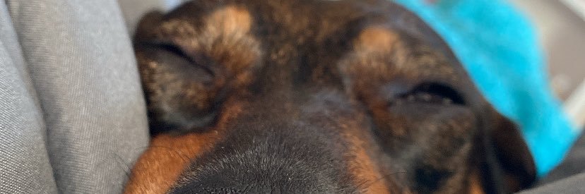 AlbaPG1's profile banner image