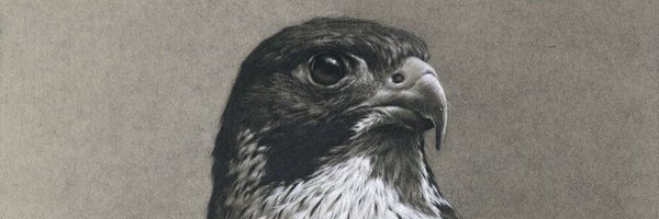 nourrshad7 Profile Banner