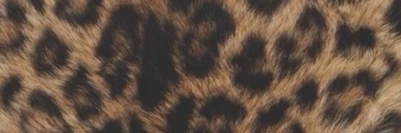 𓄹 banner