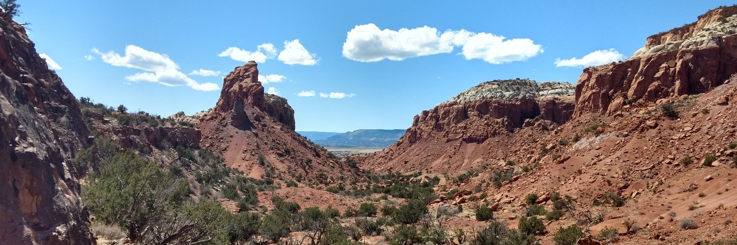 T'laryth Phalyn banner