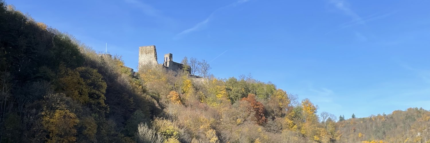 mliko the evil banner