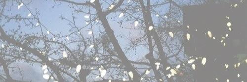 . banner