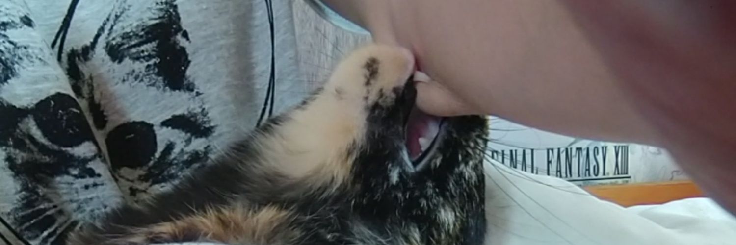 xmisatox's profile banner image