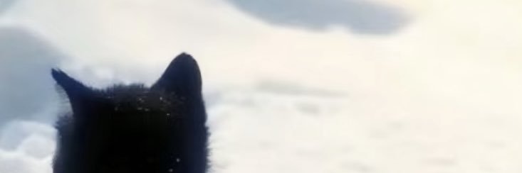 ki77ik's profile banner image