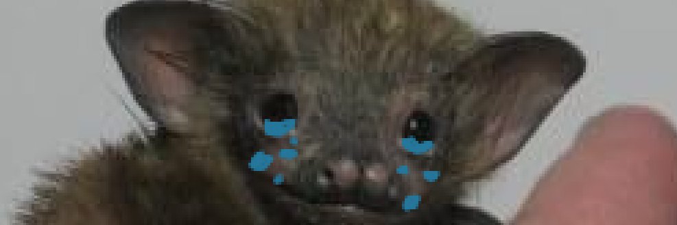 DeeGurz's profile banner image