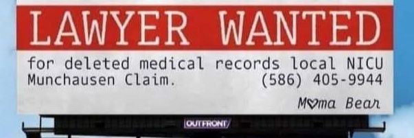 Bridget Antonelli banner