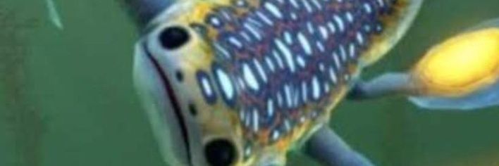 donlambo2008's profile banner image