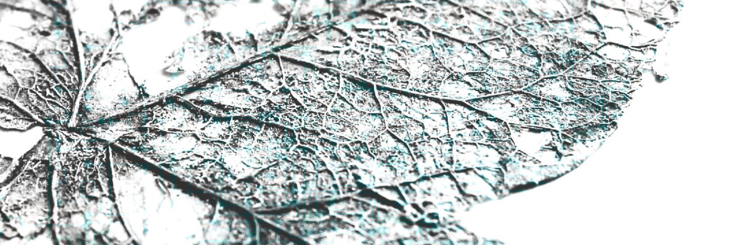 ECUGoodMedia's profile banner image