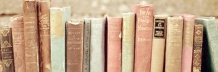 Paige Turner banner