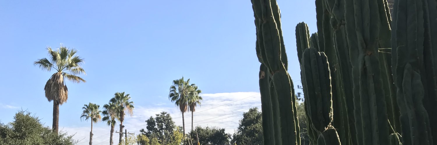 beyouvee's profile banner image