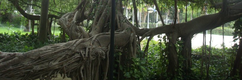 Diego Fernando Cuéllar Pineda banner