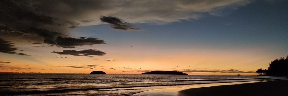 thisaleaa's profile banner image