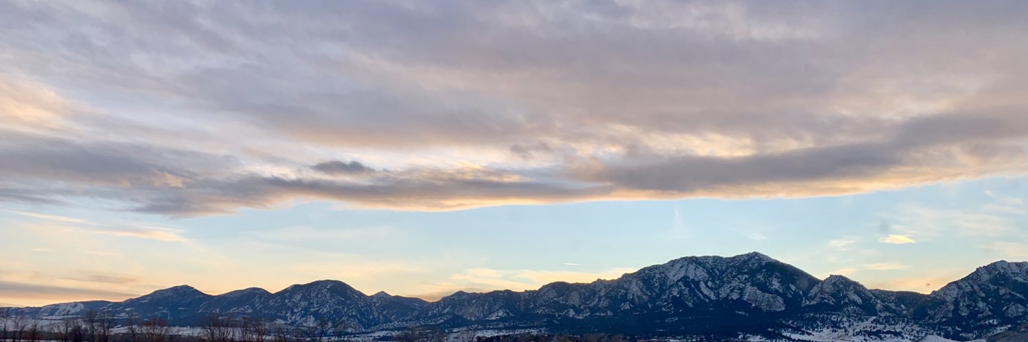 Alexis Williams banner