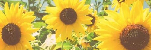 korabell_'s profile banner image
