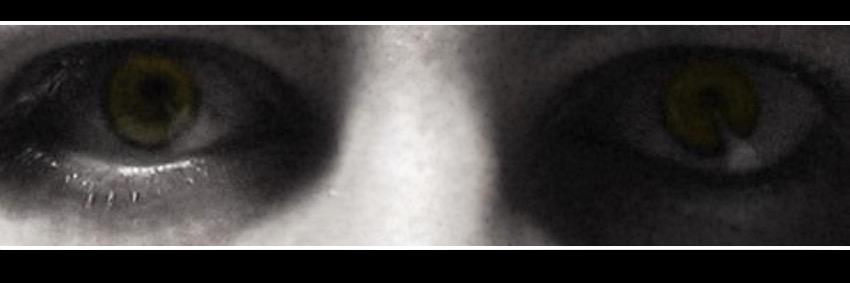 Xenoduct's profile banner image