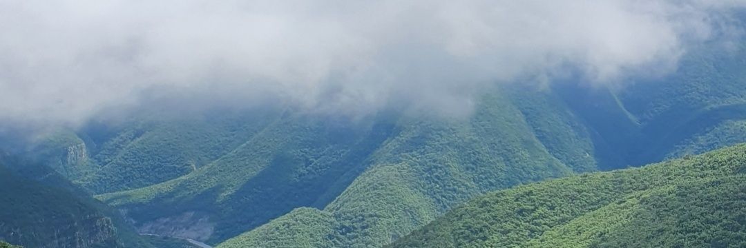 Laura Reyna de la Garza banner