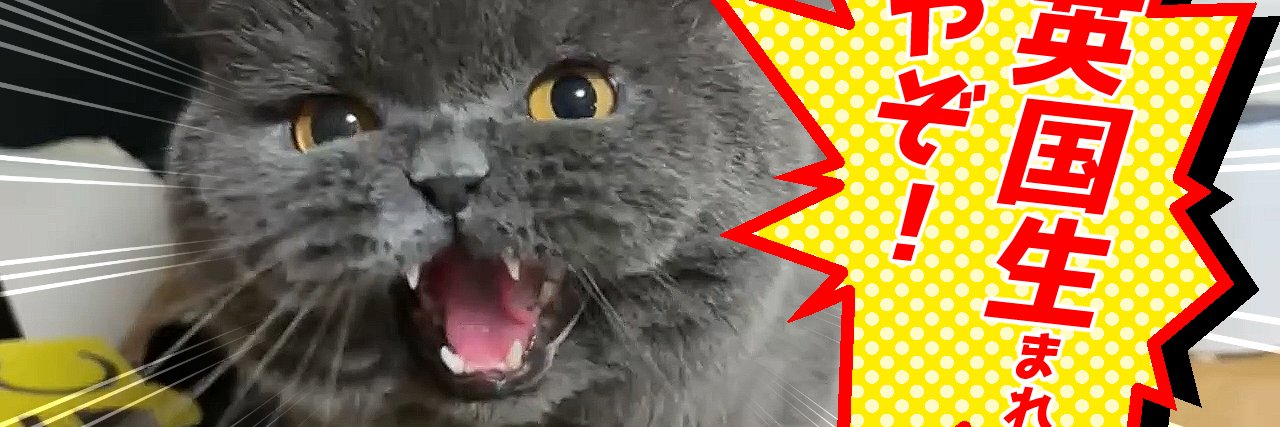 クリッパーびんびん年中無休 banner