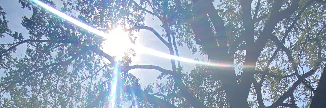 Viola Lasmana banner