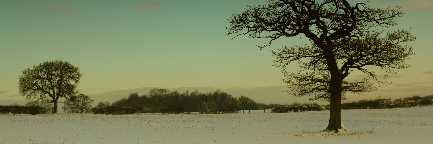 IntelecTweets. banner