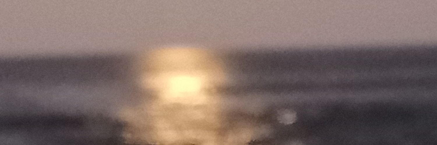 Hugocarro's profile banner image
