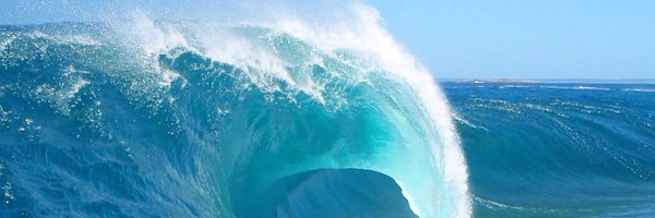 sunsetpickles Profile Banner