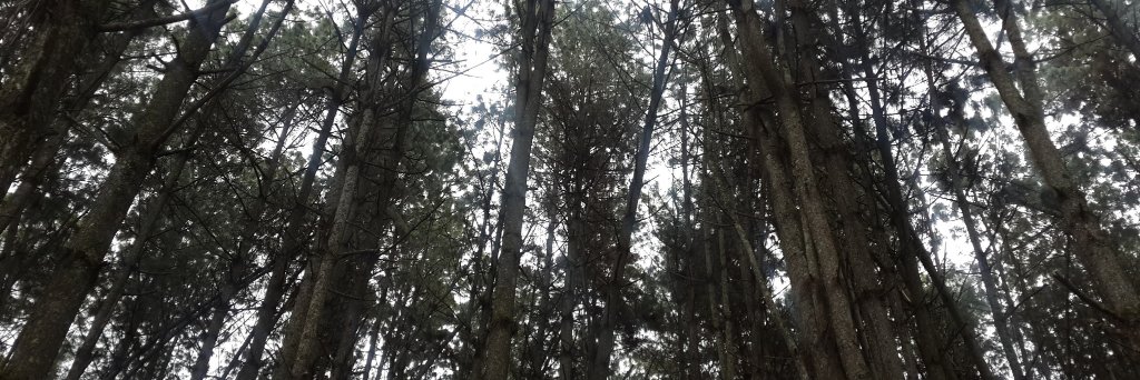 LuisDavid07's profile banner image